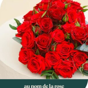 GRAND COEUR DE ROSES AGATHE