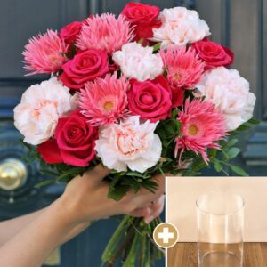 Bouquet Agar et son vase transparent
