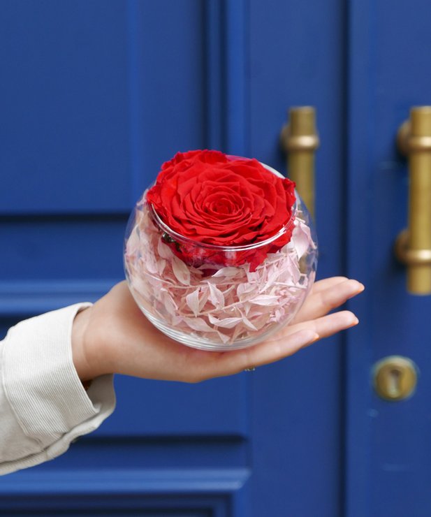 Rose éternelle rouge et son vase boule