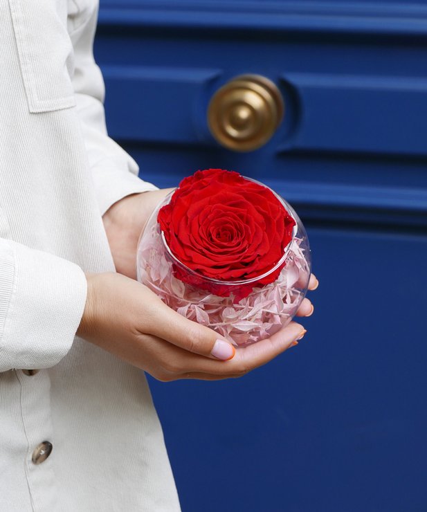 Rose éternelle rouge et son vase boule - Image 3