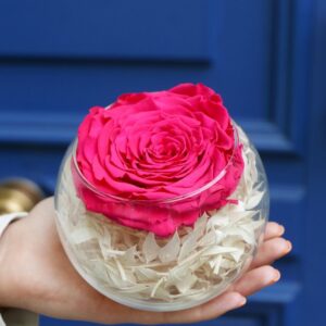 Rose éternelle fuschia et son vase boule