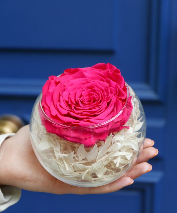 Rose éternelle fuschia et son vase boule